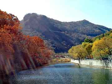 新澳天天开奖资料大全旅游团，上海水表厂